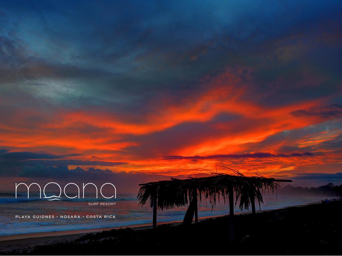 Moana Surf Resort Nosara Εξωτερικό φωτογραφία